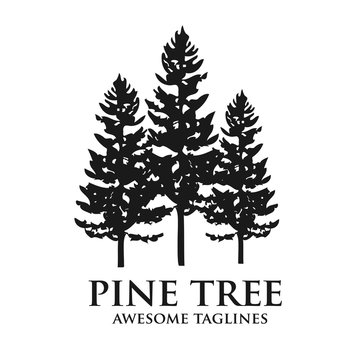 pine Tree outdoor travel green silhouette forest logo , natural pine tree badge abstract stem drawing vector illustration. creative pine tree silhouette logo vector