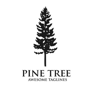pine Tree outdoor travel green silhouette forest logo , natural pine tree badge abstract stem drawing vector illustration. creative pine tree silhouette logo vector