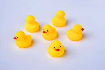 Leadership and friendship Concept: Yellow duck toy with white background.