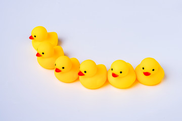 Leadership and friendship Concept: Yellow duck toy with white background.