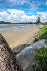 Looking through to a view of Ngunguru Harbour beach and river estuary at low tide - Northland, New Zealand, NZ