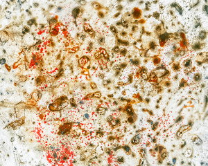 virus microbiology creative modern art concept. spread of the virus. terrifying disease.