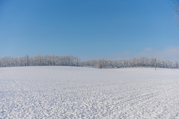 verschneite Winterlandschaft