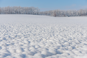 verschneite Winterlandschaft