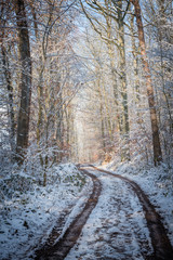 verschneite Winterlandschaft