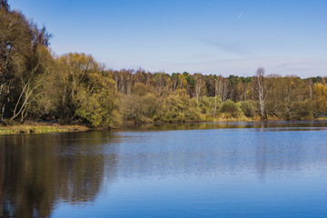 Fototapeta na wymiar Trees reflect in the lake, park at sunny November day in Moscow.