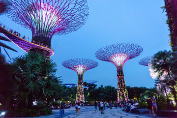 Singapore. October 21, 2017. super tree grove in garden by the bay at night. one of the beautiful place to visit for tourist in singapore.