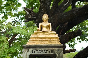 The Buddha placed in the middle of the garden.