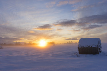 Winter sunrise with fog, vivid colors and soft focus