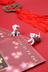 Miniature dogs with chinese new year andpow red packets. 2018 is the year of the dog according to chinese zodiac calendar.