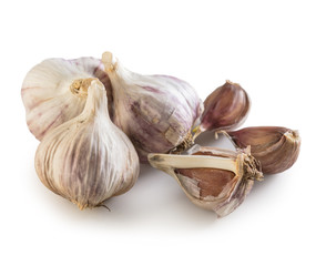 organic garlic closeup