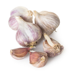 organic garlic closeup