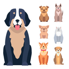Cute Purebred Dogs Cartoon Flat Vectors Icons Set