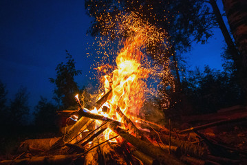 Bright fire on a dark night in a forest glade. - obrazy, fototapety, plakaty