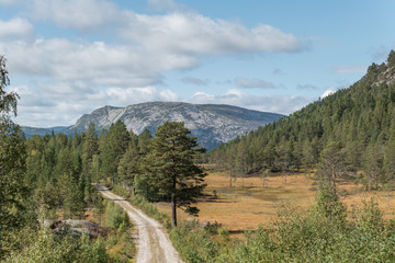 Autumn view to mountains.