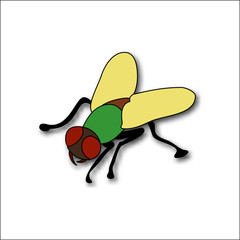 Cartoon fly, insect with bright colors. Housefly volume