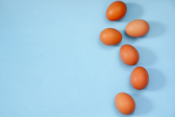 Chicken Egg Over Blue Background 