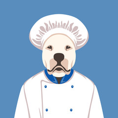 dog face in cook's cap vector illustration flat style