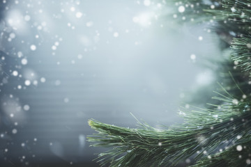 Fototapeta na wymiar Wonderful winter background with fir branches and snow. Winter holidays and Christmas concept