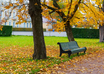 green bench under tree in park when autumn