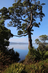 Blick von Sarah Island-Tasmanien