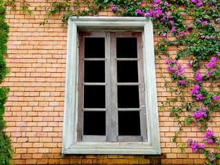 Closed window and wall covered by ivy