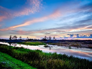 sunset with pink clouds in the swamp river