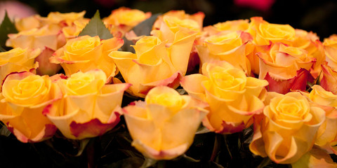 bouquet of bright and beautiful yellow-orange roses