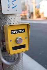 横断歩道の歩行者用押ボタン