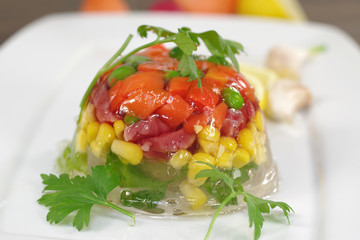 appetizing jelly with meat