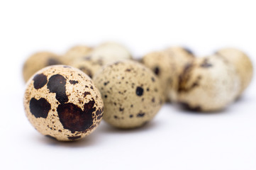 Obraz premium quail eggs