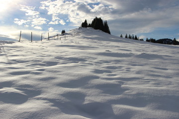 Schneelandschaft