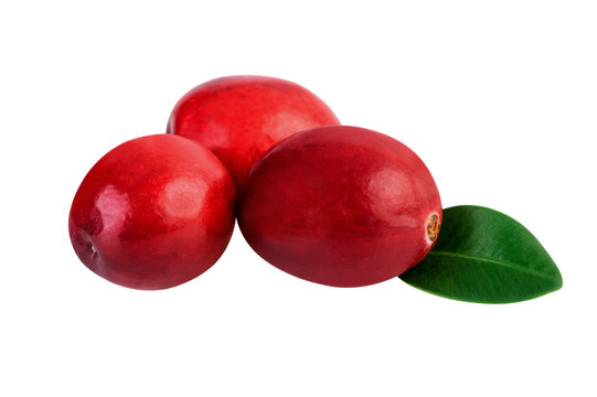 Cranberries isolated on white. Image included clipping path