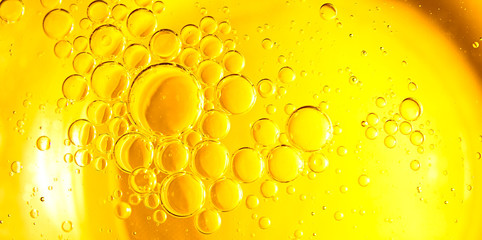 Yellow drops and bubbles of oil, sunflower and olive oil.
