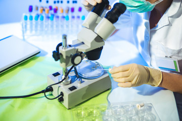 Woman in a laboratory working with a microscope, close up