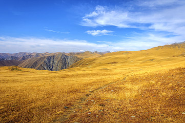 Golden mountains in Lagodekhi national park, Georgia