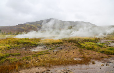 Fototapeta na wymiar Haukadalur Valley in Iceland