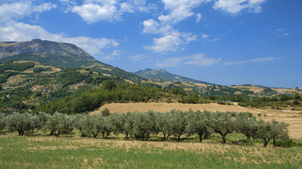 Fototapeta na wymiar Summer landscape in Abruzzi near Brittoli