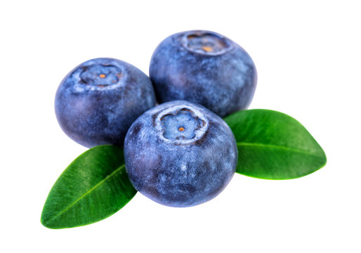 Blueberries isolated on white with clipping path