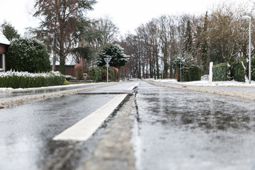 asphalt street with snow
