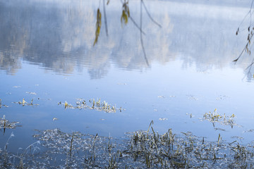 Morning landscape pond in a frosty winter morning.