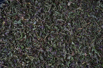 thyme on a black background