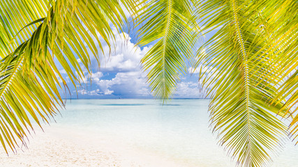Fototapeta premium Beautiful beach landscape. Summer holiday and vacation concept. Inspirational tropical beach. Beach background banner