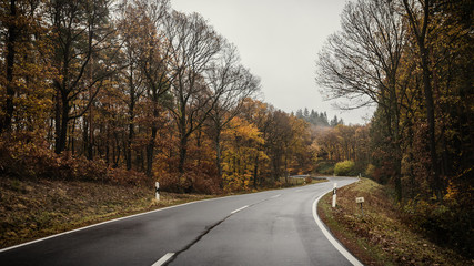 Obraz premium Autumn