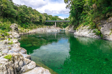 Fototapeta na wymiar Beautiful green and clear pelorus river, known from the movie hobit. South Island, New Zealand