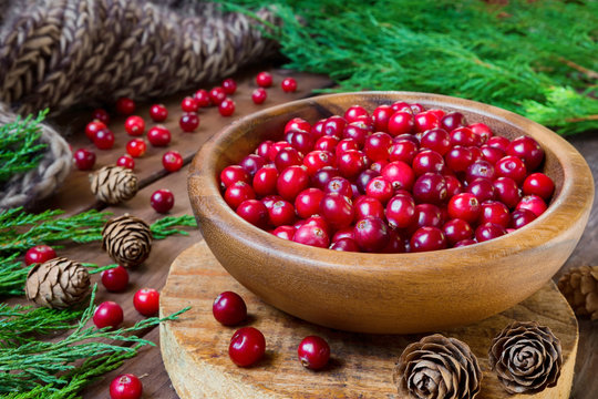 Berries cranberries, drink, jam spruce branches, cones on a dark background with a copy of the space