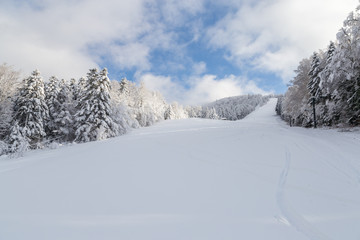 Piste de ski