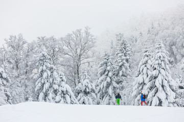 En raquettes dans la neige