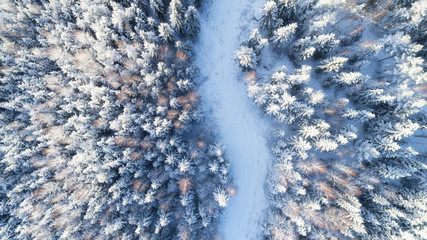 top view of snowy winter forest and road - obrazy, fototapety, plakaty