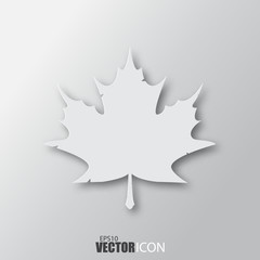 Maple leaf icon in white style with shadow isolated on grey background.